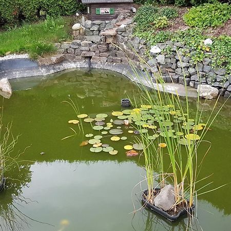 Waldhufenidyll Koenigswalde Im Erzgebirge Appartement Konigswalde Buitenkant foto
