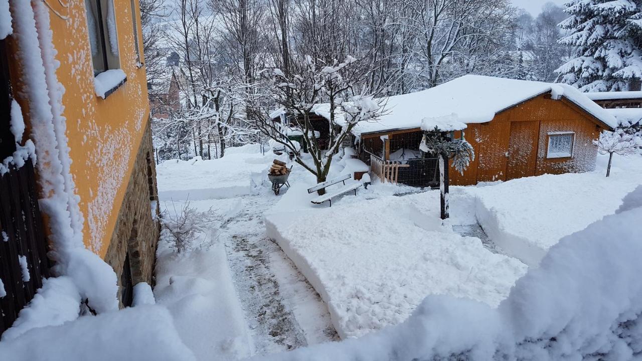 Waldhufenidyll Koenigswalde Im Erzgebirge Appartement Konigswalde Buitenkant foto