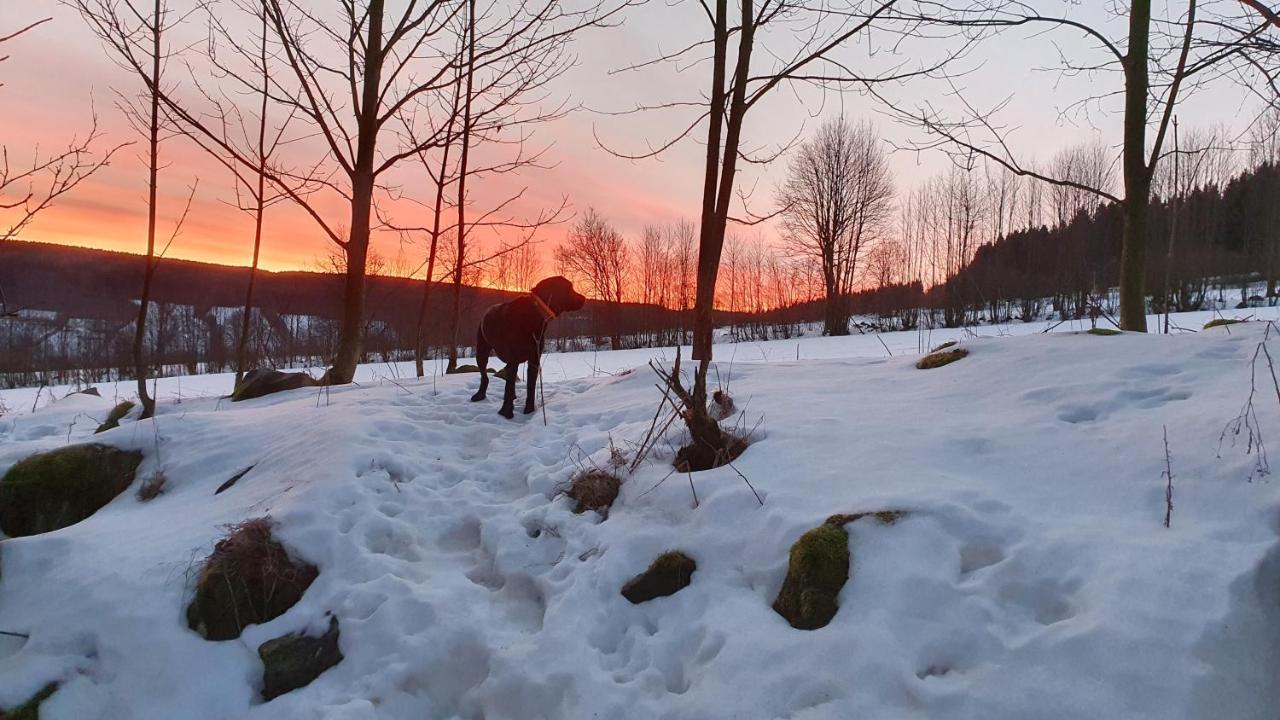 Waldhufenidyll Koenigswalde Im Erzgebirge Appartement Konigswalde Buitenkant foto