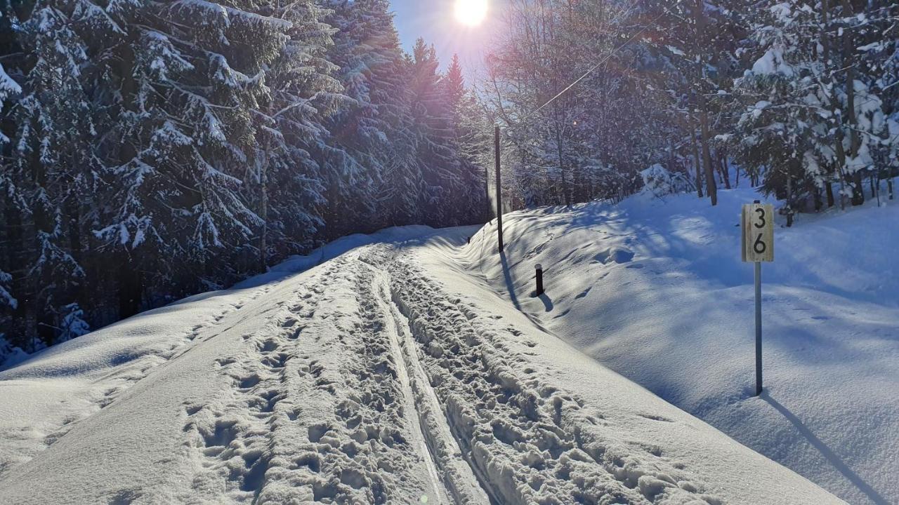 Waldhufenidyll Koenigswalde Im Erzgebirge Appartement Konigswalde Buitenkant foto